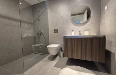 Rent of brand new 3-room apartment 72 m² in the premium BW Sensa residential complex, Belgrade, Serbia