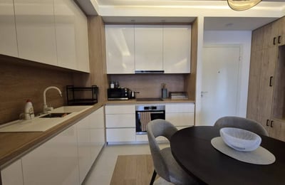 Rent of a brand-new 2-room apartment, 60 m², in the premium BW Eterna residential complex, Belgrade, Serbia