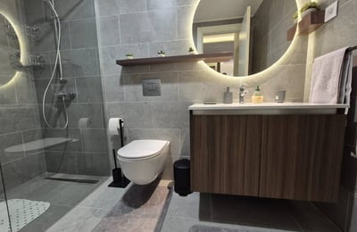 Rent of a brand-new 2-room apartment, 60 m², in the premium BW Eterna residential complex, Belgrade, Serbia