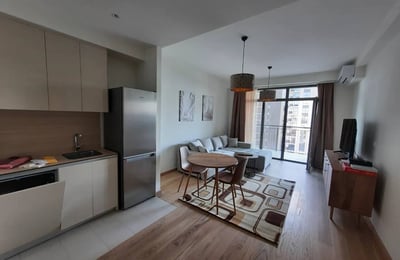 Location d’un appartement premium de deux pièces, 55 m², Belgrade, Serbie