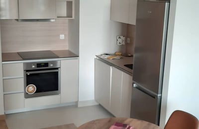 Location d’un appartement premium de deux pièces, 55 m², Belgrade, Serbie