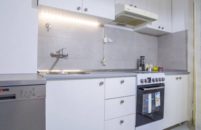 Rent of a bright two-room apartment in the city center, 53 m², Belgrade, Serbia