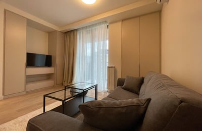 Аренда уютной квартиры-студии, 28 м², ЖК BW Metropolitan, Белград, Сербия