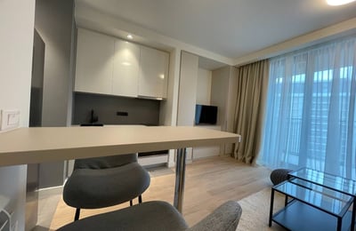 Аренда уютной квартиры-студии, 28 м², ЖК BW Metropolitan, Белград, Сербия