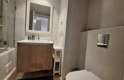 Miete einer hellen Zweizimmerwohnung, 55 m², Wohnanlage BW Parkview, Belgrad, Serbien