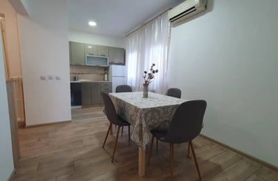 Rent of a fully renovated, furnished three-room apartment, 56 m², New Belgrade, Belgrade, Serbia