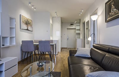 Аренда двухкомнатной квартиры рядом с рынком, 42 м², Врачар, Белград, Сербия