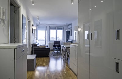 Аренда двухкомнатной квартиры рядом с рынком, 42 м², Врачар, Белград, Сербия