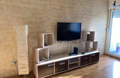 Rent of a spacious two-room apartment, 58 m², Belgrade, Vračar, Serbia