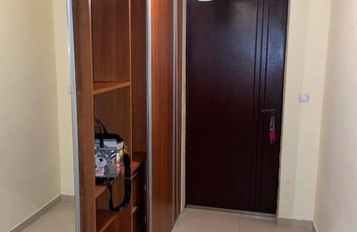 Rent of a spacious two-room apartment, 58 m², Belgrade, Vračar, Serbia