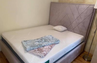 Rent of a spacious two-room apartment, 58 m², Belgrade, Vračar, Serbia