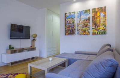 Miete einer hellen Zweizimmerwohnung, 38 m², Belgrad, Serbien