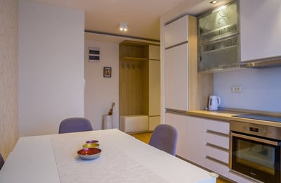 Location d’un appartement spacieux de deux pièces, 62 m², Belgrade, Vračar, Serbie