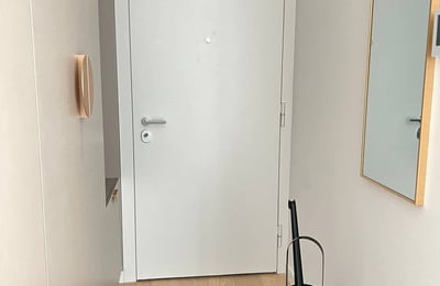 Alquiler de un apartamento de dos habitaciones en un complejo residencial premium, 53 m², Belgrado, Dorćol, Serbia