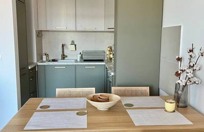 Alquiler de un apartamento de dos habitaciones en un complejo residencial premium, 53 m², Belgrado, Dorćol, Serbia