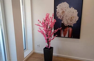 Rent of a bright two-level three-room apartment, 73 m², Belgrade, Serbia