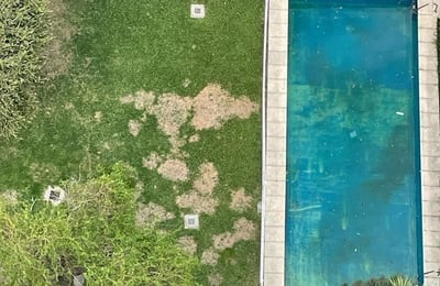 Rent of a bright two-room apartment, Buenos Aires, Palermo, Argentina