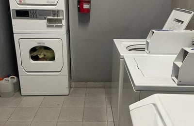 Rent of a bright two-room apartment, Buenos Aires, Palermo, Argentina