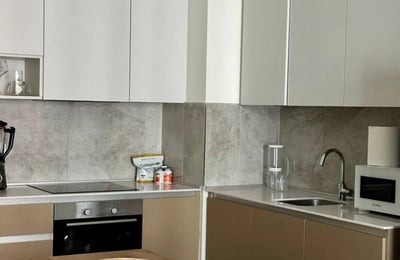 Rent of a two-room apartment in a premium residential complex, 55 m², Belgrade, Belgrade Waterfront, Serbia