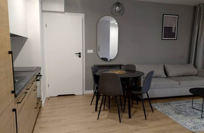 Miete eines modernen Studios, 28 m², Krakau, Zabłocie, Polen