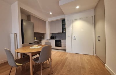 Rent of a two-room apartment in a premium residential complex, 56 m², Belgrade, Belgrade Waterfront, Serbia