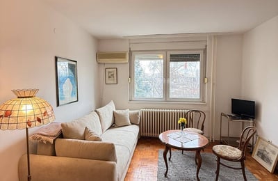 Rent of a bright one-room apartment in the city center on the Danube embankment, 43 m², Belgrade, Serbia