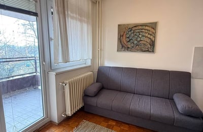 Rent of a bright one-room apartment in the city center on the Danube embankment, 43 m², Belgrade, Serbia