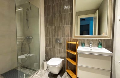 Rent of a two-room apartment in a premium residential complex, 53 m², Belgrade, Belgrade Waterfront, Serbia