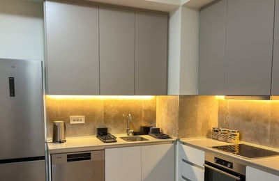 Rent of a two-room apartment in a premium residential complex, 53 m², Belgrade, Belgrade Waterfront, Serbia