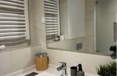 Rent of a spacious two-room apartment in the city center, 63 m², Belgrade, Serbia