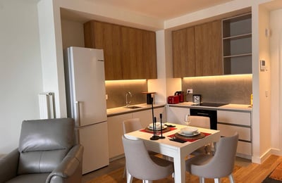 Alquiler de un apartamento completamente nuevo de dos habitaciones, 53 m², Belgrado, Belgrade Waterfront, Serbia