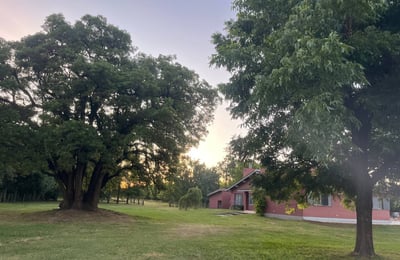 Rent of a house on a farm with a pool near Buenos Aires, Argentina