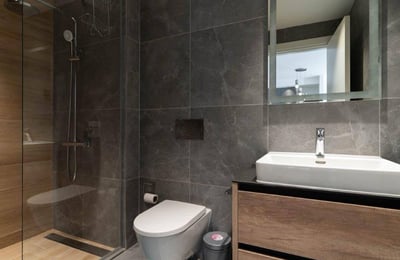 Alquiler de un apartamento moderno en el complejo residencial de clase premium BW Simfonija, 50 m², Belgrado, Belgrade Waterfront, Serbia