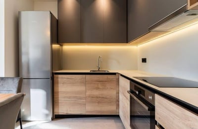 Alquiler de un apartamento moderno en el complejo residencial de clase premium BW Simfonija, 50 m², Belgrado, Belgrade Waterfront, Serbia