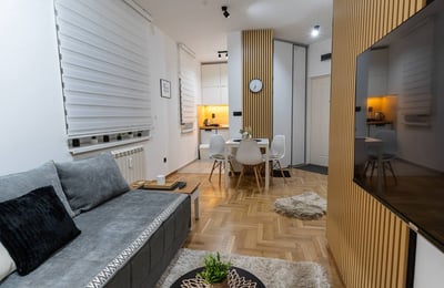 Rent of a cozy two-room apartment, 40 m², Belgrade, Voždovac, Serbia