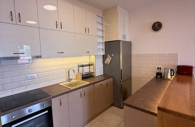 Rent of a two-room apartment, 47 m², in a premium residential complex in the city center, Belgrade, Serbia