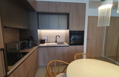 Rent of a two-room apartment, 55 m², in the premium residential complex BW King’s Park, Belgrade, Serbia