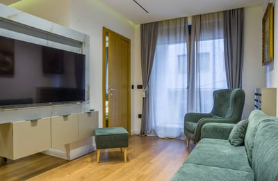 Rent of a comfortable two-room apartment, 40 m², Vračar district, Belgrade, Serbia