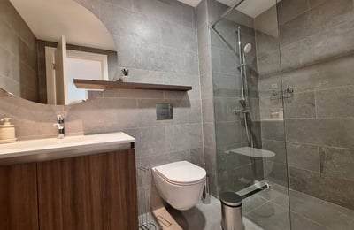 Аренда новой двухкомнатной квартиры 59 м² в жилом комплексе премиум-класса BW Lumia, Белград, Сербия