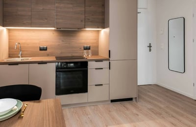 Location d’un appartement moderne de 2 pièces, 36 m², Zabłocie, Cracovie, Pologne
