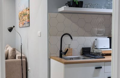 Rent of a bright 1-room apartment, 45 m², in the Old Town center of Belgrade, Serbia