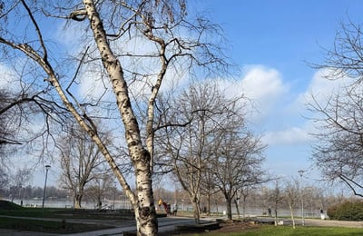 Rent of a bright 1-room apartment, 43 m², in the center of Belgrade, Serbia