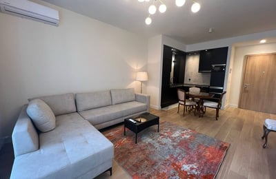 Аренда светлой двухкомнатной квартиры, 53 м², в ЖК премиум-класса BW King’s Park, Белград, Сербия