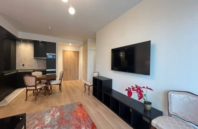 Аренда светлой двухкомнатной квартиры, 53 м², в ЖК премиум-класса BW King’s Park, Белград, Сербия