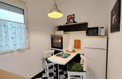 Аренда двухкомнатной квартиры с новым ремонтом, 44 м², напротив парка Ташмайдан, Белград, Сербия