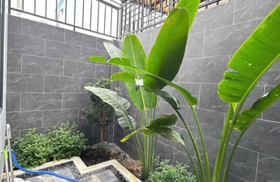 Rent of a modern, new furnished villa, 270 m², Nha Trang, Vietnam