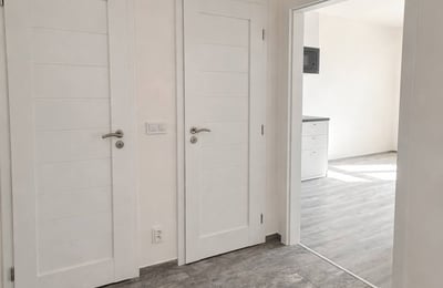 Location d’un appartement lumineux de 2 pièces, 43 m², Žižkov, Prague, République tchèque