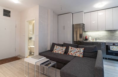 Alquiler de un acogedor apartamento amueblado de 2 habitaciones, 40 m², Vračar, Belgrado, Serbia