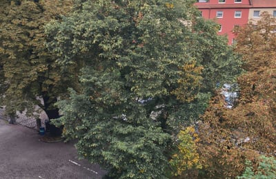 Rent of a cozy studio apartment, 27 m², Hloubětín, Prague, Czech Republic