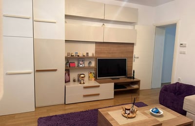 Аренда уютной трёхкомнатной квартиры, 60 м², Врачар, Белград, Сербия